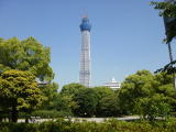 墨田公園から見た東京スカイツリー